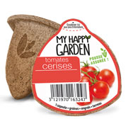 Cpsula pronta a plantar - Tomates Cherry
